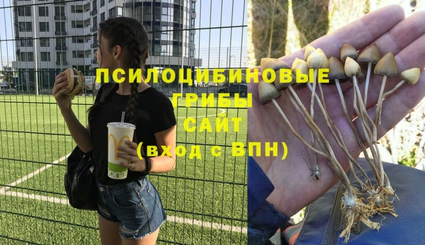 jwh Армянск