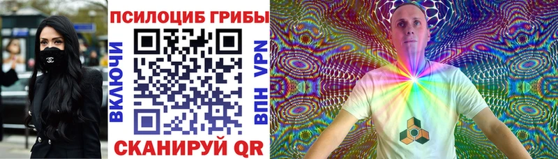 закладки  Голицыно  Псилоцибиновые грибы Magic Shrooms 